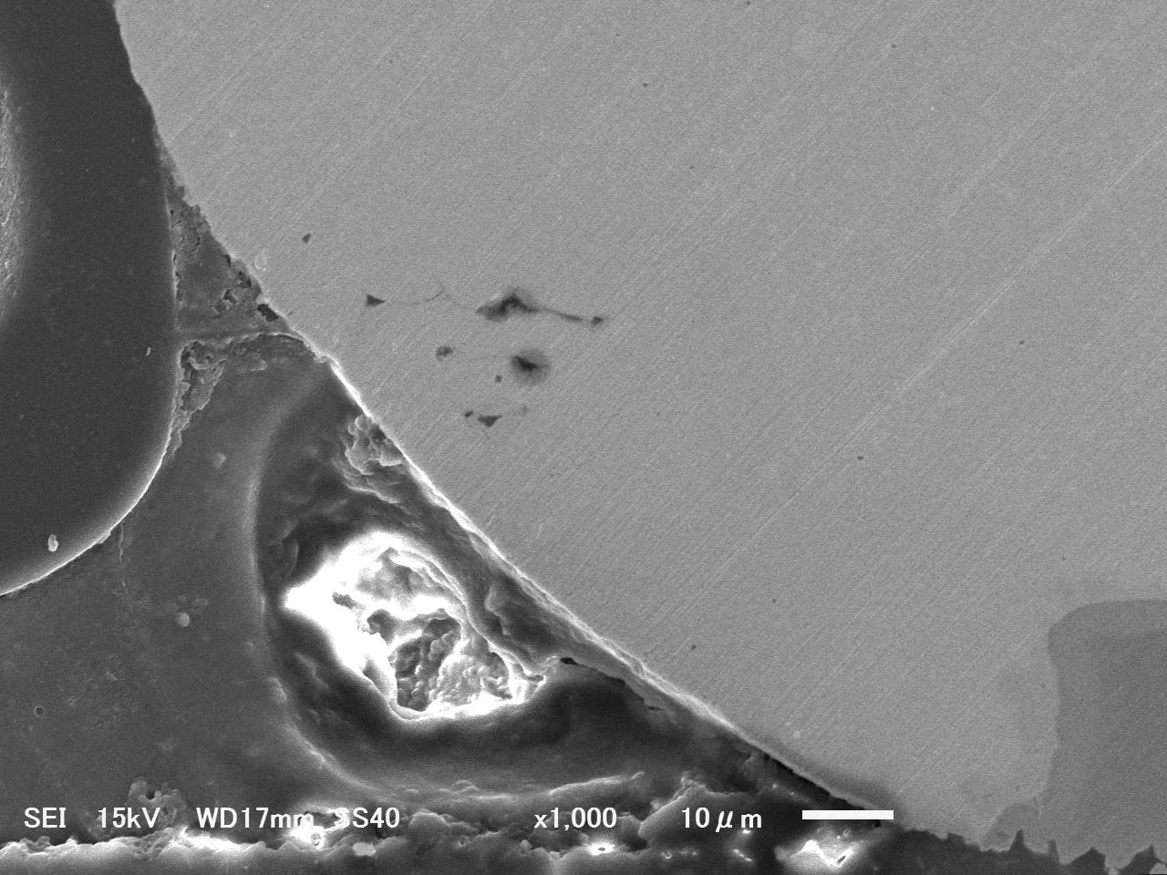 1μm仕上げ後のSEM画像(×1000)高倍率確認