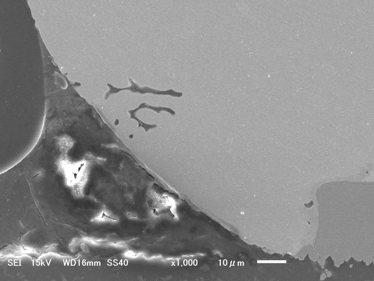 アルミナ仕上げ後のSEM画像(アルミ試料 ×1000)高倍率確認