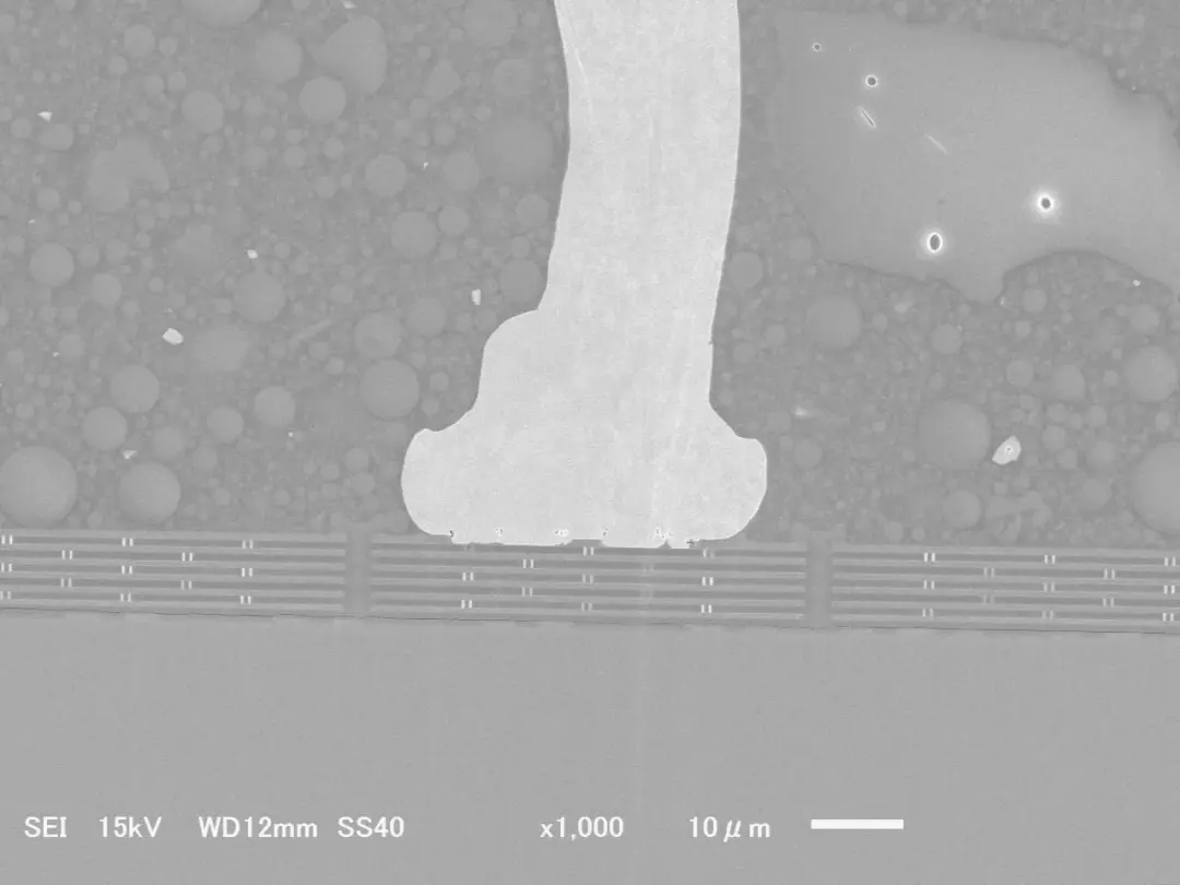 低ダメージ断面加工による高精度な界面観察の実現